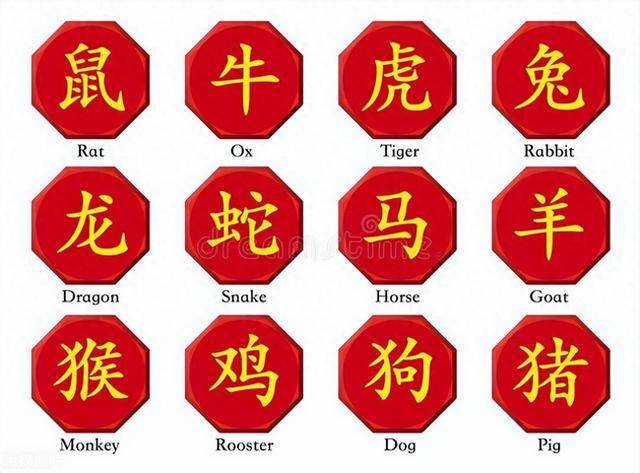 12生肖排列顺序(12生肖排列顺序表2025年岁数) 12生肖排列顺序(12生肖排列顺序表2025年岁数)
