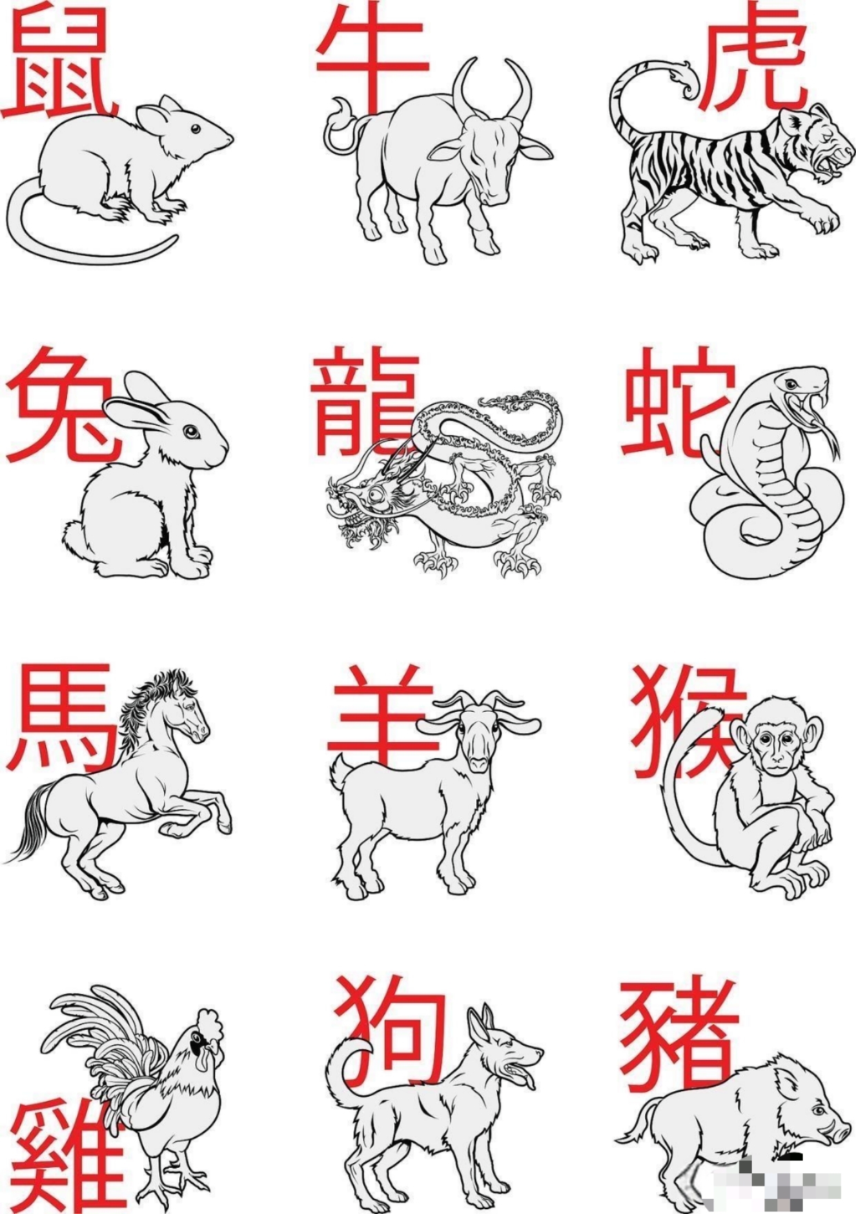 生肖表十二顺序表2022(生肖表十二顺序2020属相) 生肖表十二顺序表2022(生肖表十二顺序2020属相)