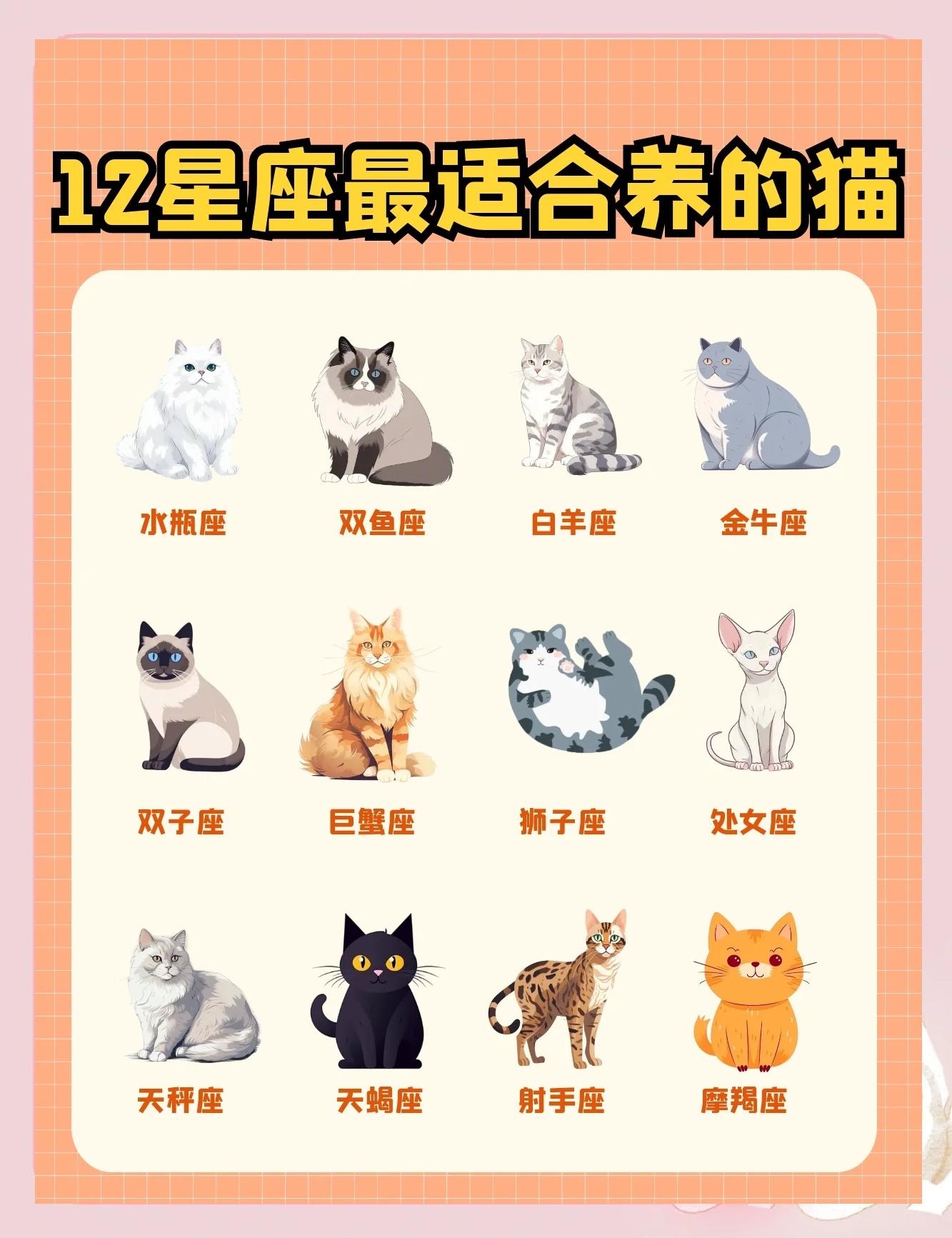 星座配对指南(星座配对指南十二星座中最佳组合大揭秘)
