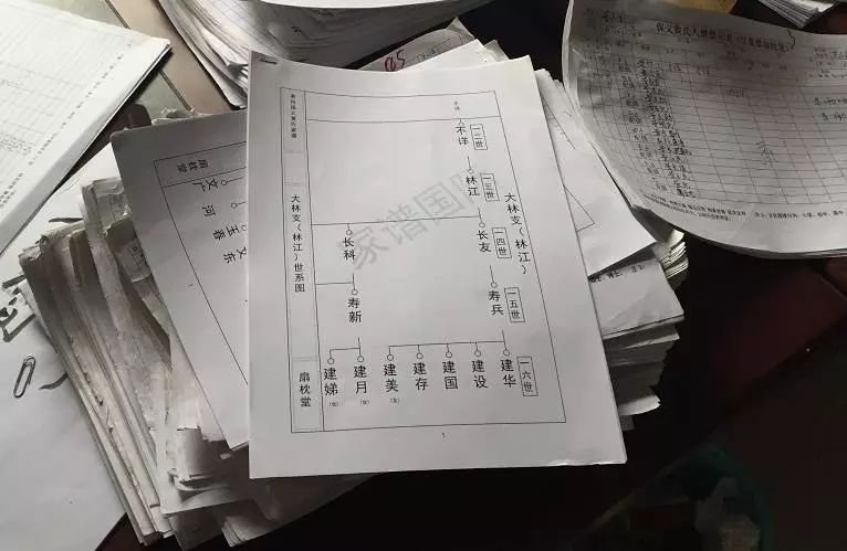 APP家谱步骤(家谱用什么软件排版)