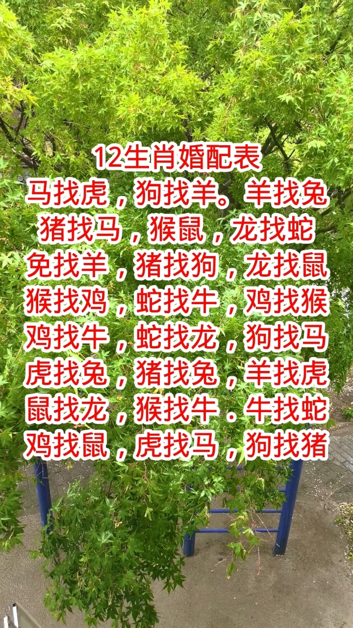 生肖配对表年份(生肖年份配对表大全)
