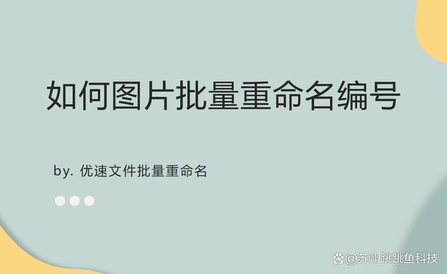 命名可信吗(命名规则是什么) 命名可信吗(命名规则是什么)
