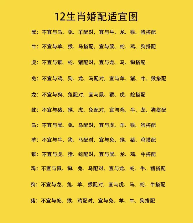 十二生肖恋爱(十二生肖传奇中演员)