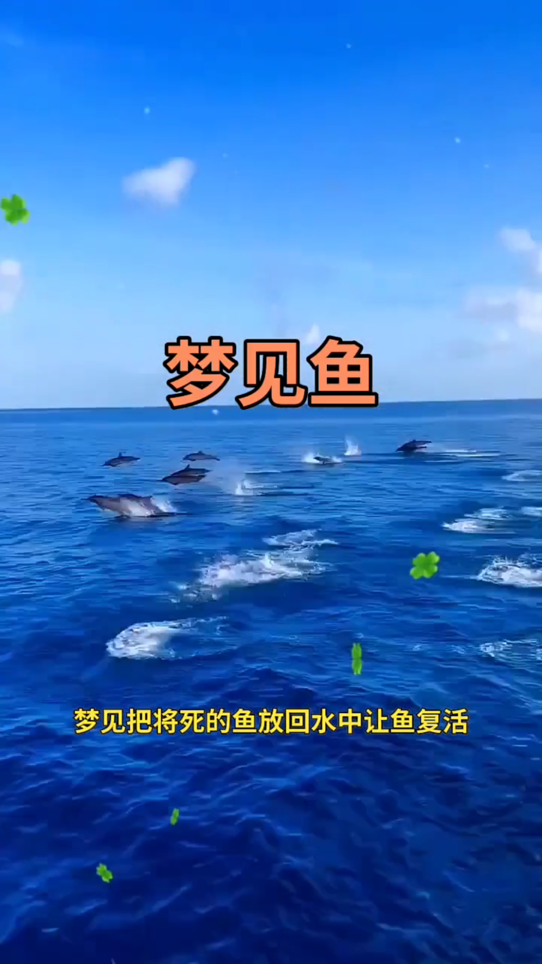梦见(梦见蛇什么预兆) 梦见(梦见蛇什么预兆)