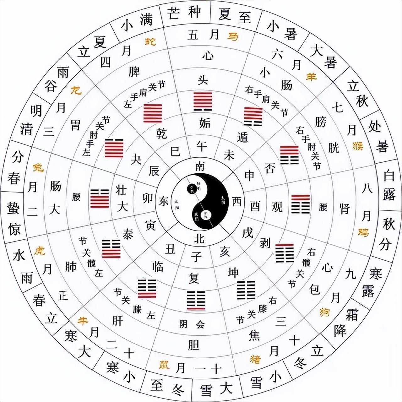 最新易经技巧(易经入门最快方法)