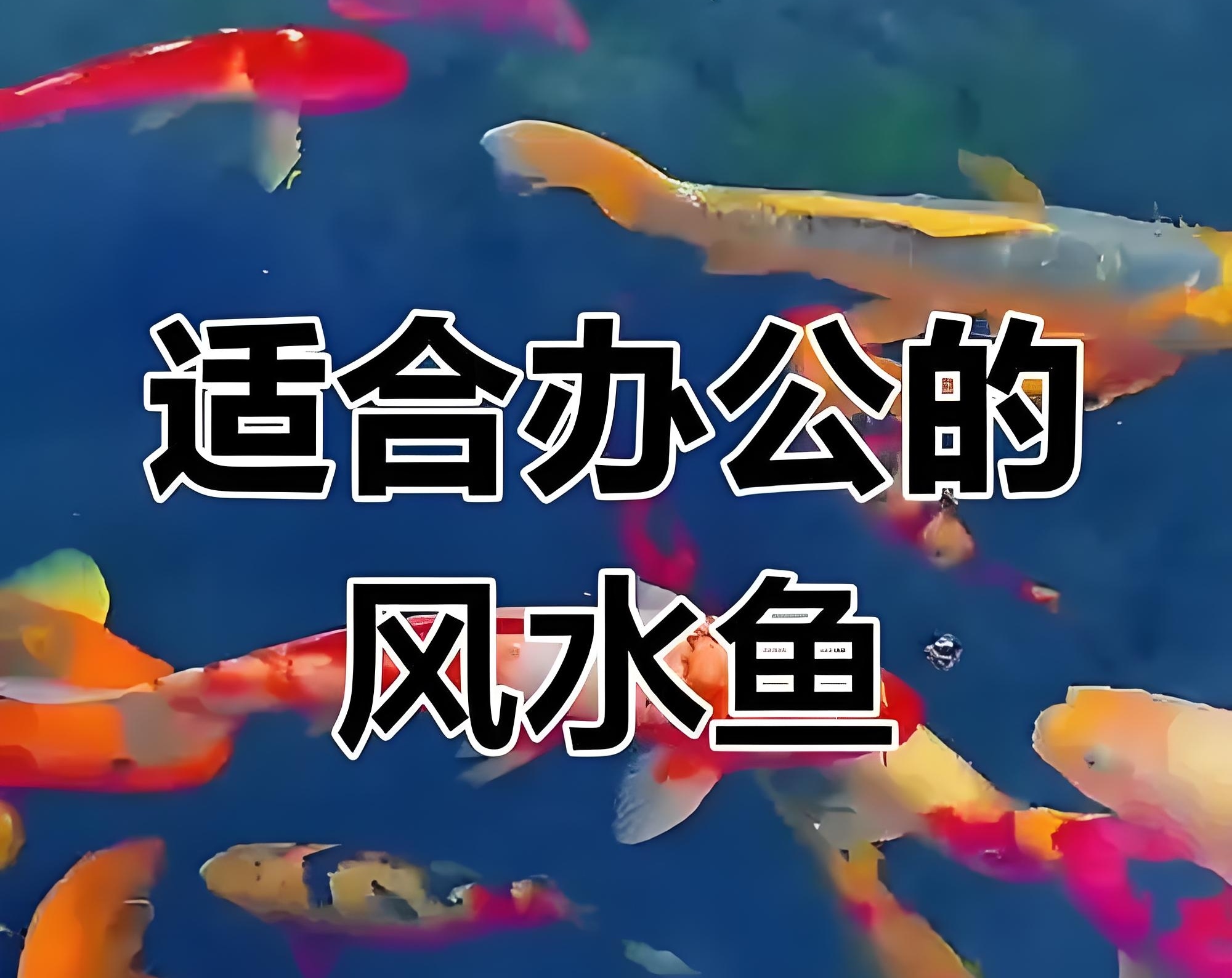 公众号风水教程(公众号昵称旺财名字)