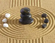 平台青囊禁忌(青囊AI医药系统最新版本更新内容)