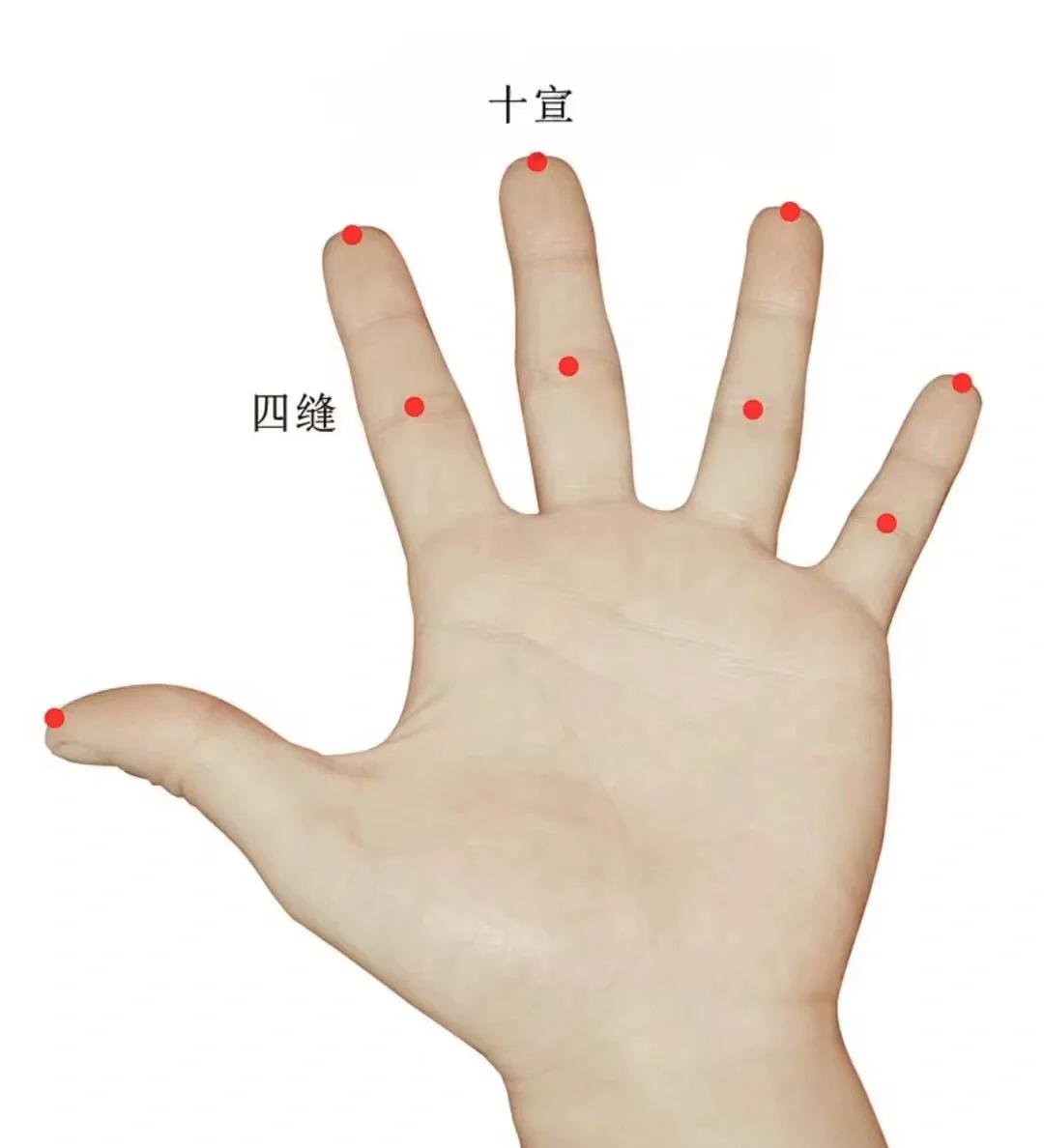 高人易经要点(易经讲解最好的大师)