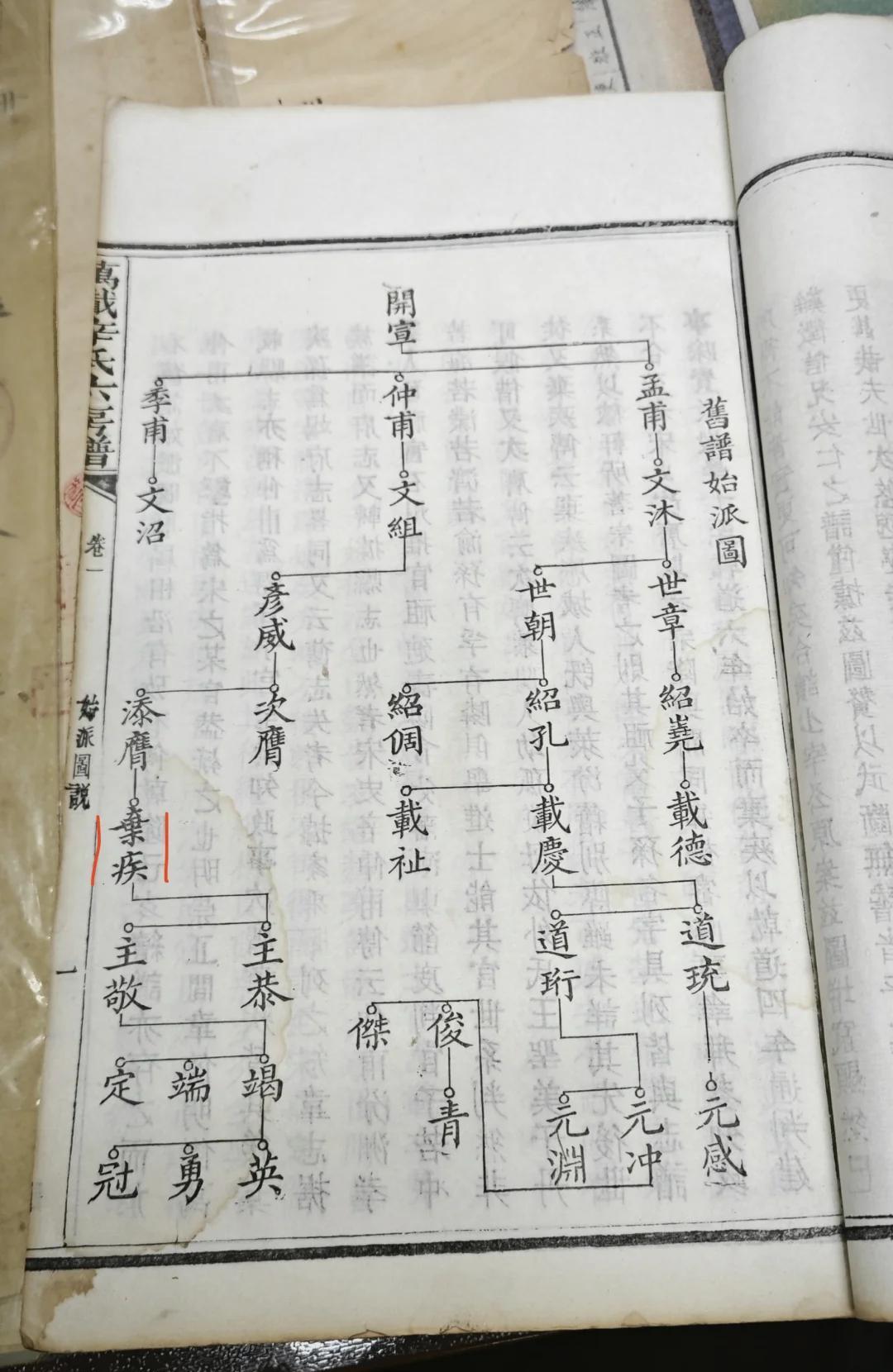 什么叫家谱(什么叫家谱世系表)