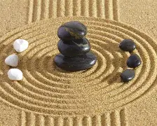 即时青囊报价(青囊集这个技术可靠吗)