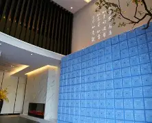 即时青囊报价(青囊集这个技术可靠吗)