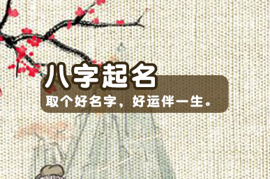 软件起名免费(软件起名免费网站)