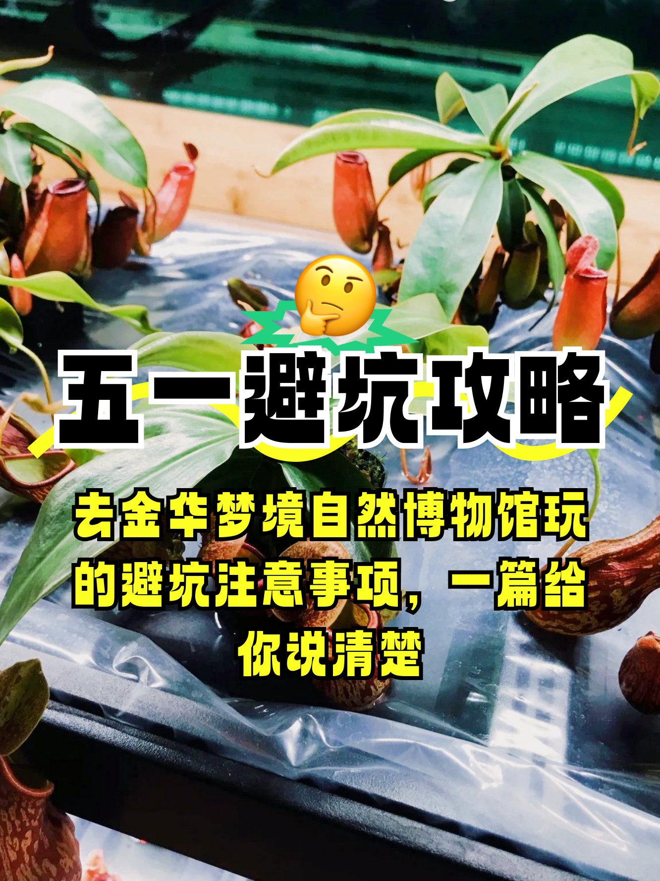 实时梦境指南(梦境时刻游戏下载) 实时梦境指南(梦境时刻游戏下载)