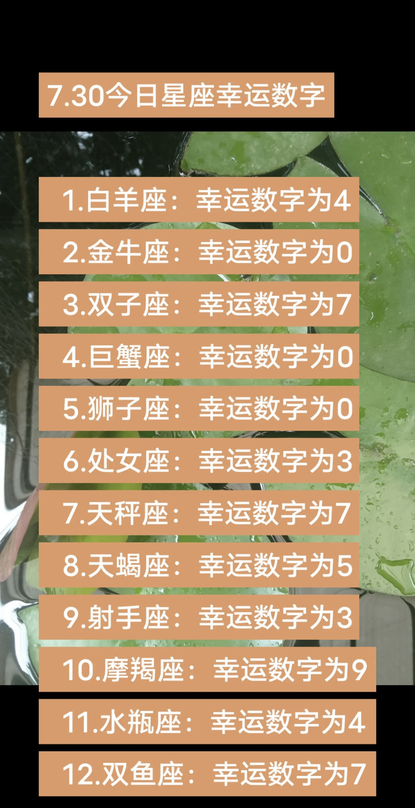星座运势查询天蝎座女(天蝎座每日星座运势查询第一星座网)