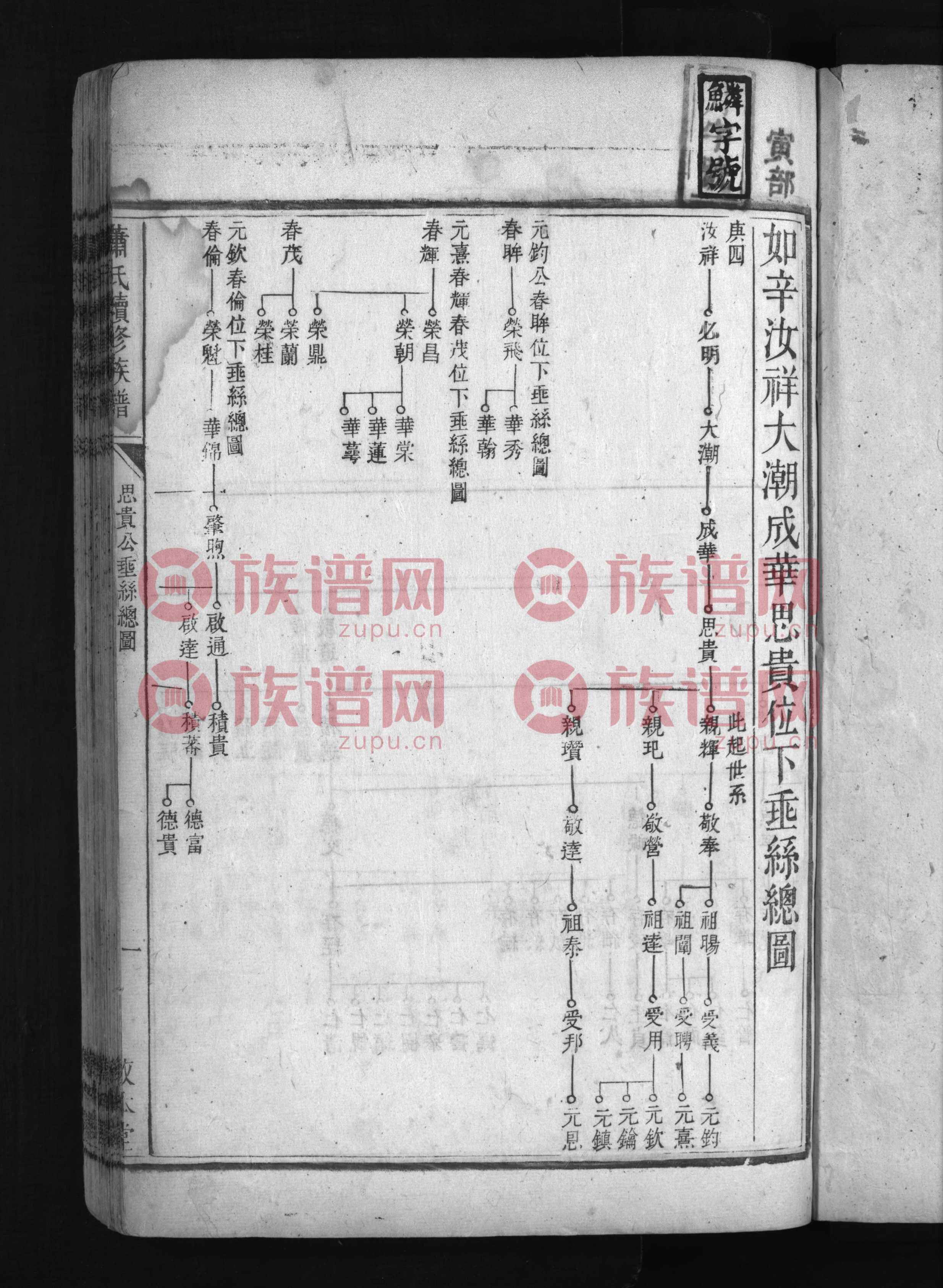 族谱成本(族谱收费违法吗)