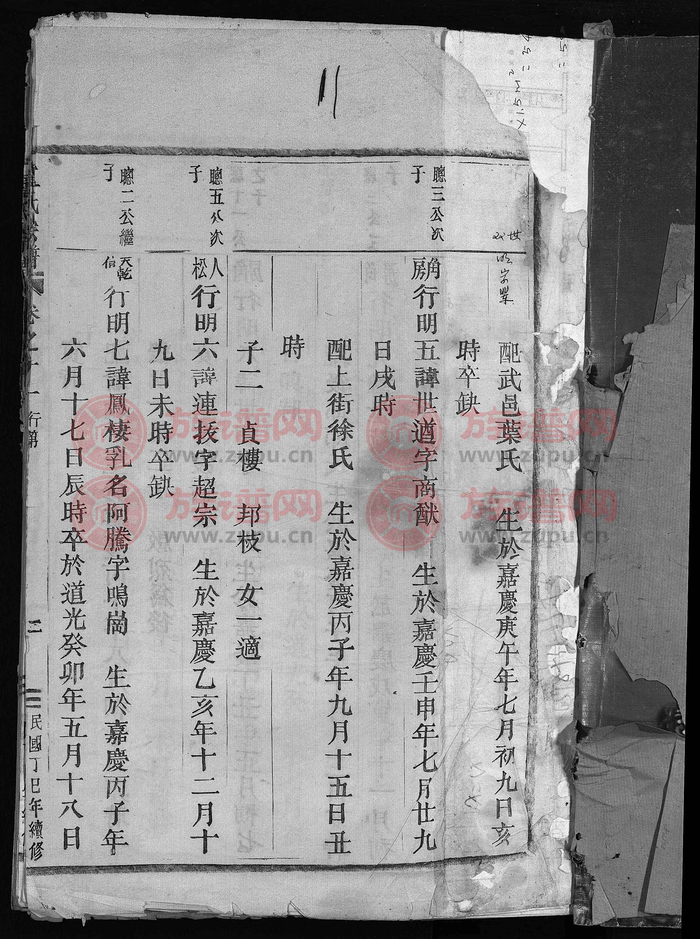 族谱成本(族谱收费违法吗)