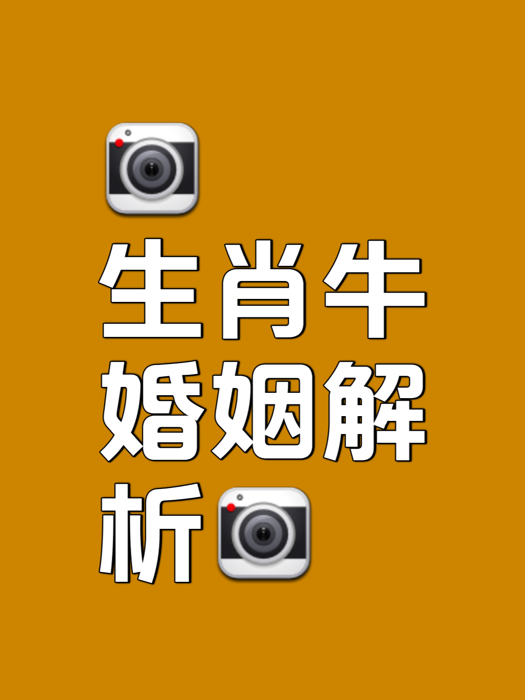 生肖婚姻运(生肖婚姻运势大全)