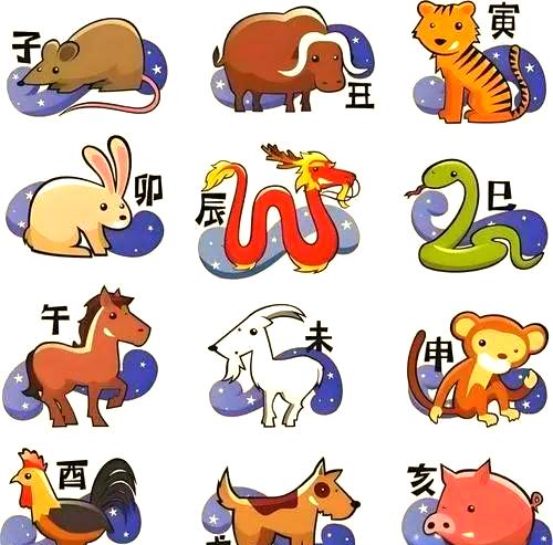 明年十二生肖(明年十二生肖对照表)