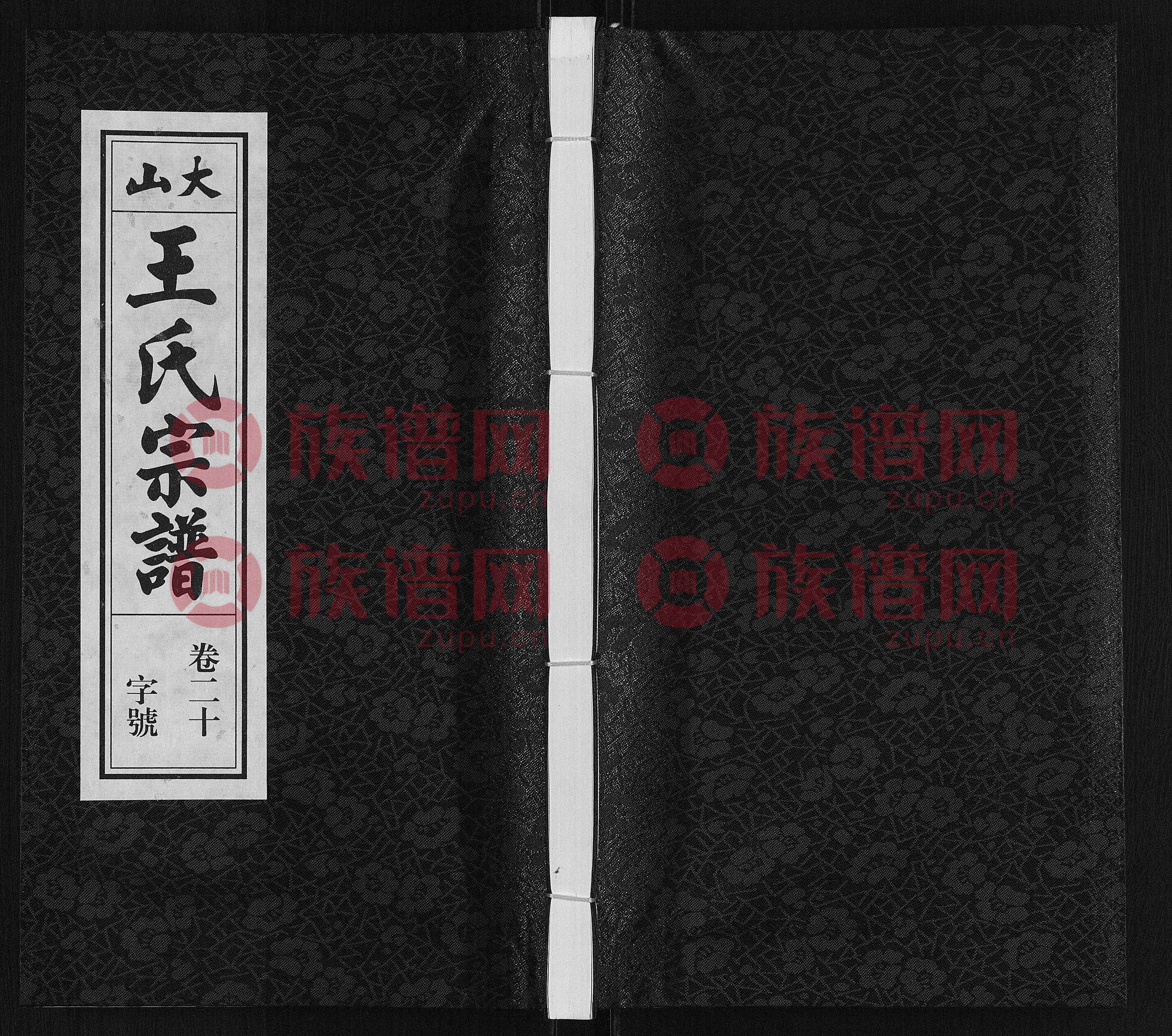 实时家谱好不好(家谱在线手机版app下载)