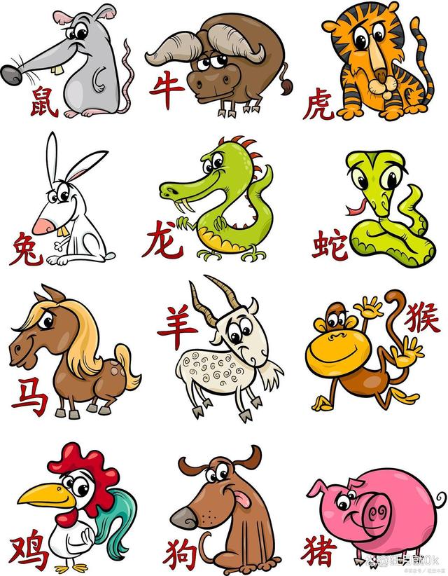 15生肖顺序(十五五生肖代表什么)