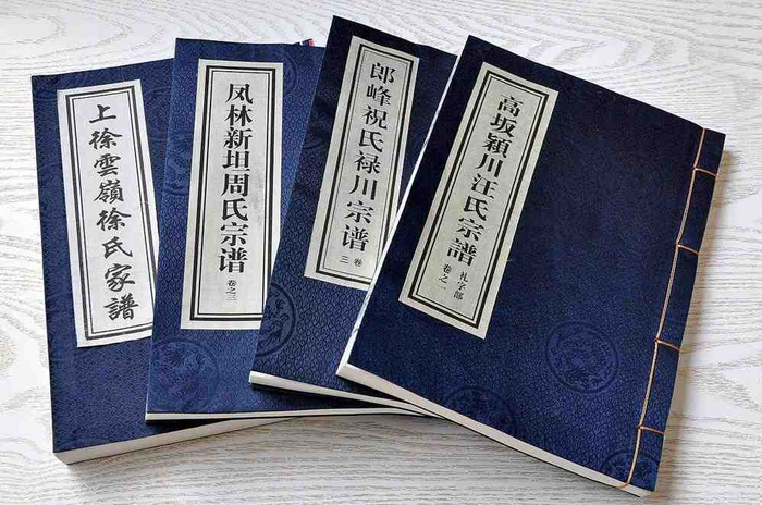 权威族谱收费(能看族谱的软件吗)