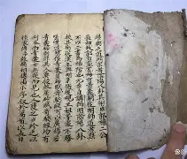 明年青囊要求(青囊计划是什么意思)