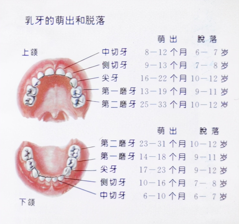儿童换名(儿童更换姓名都要什么证明材料) 儿童换名(儿童更换姓名都要什么证明材料)