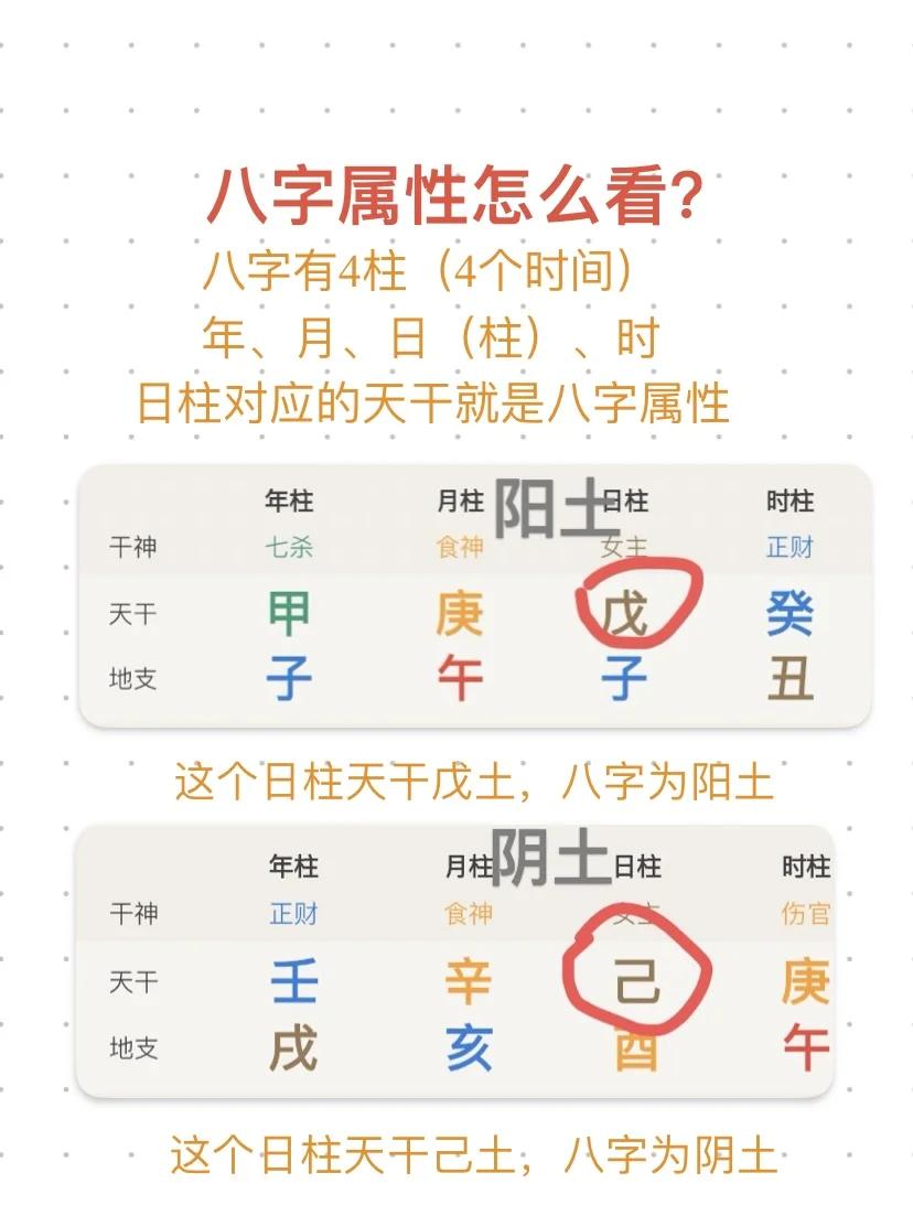 完整八字排盘价位(八字排盘详解免费版) 完整八字排盘价位(八字排盘详解免费版)