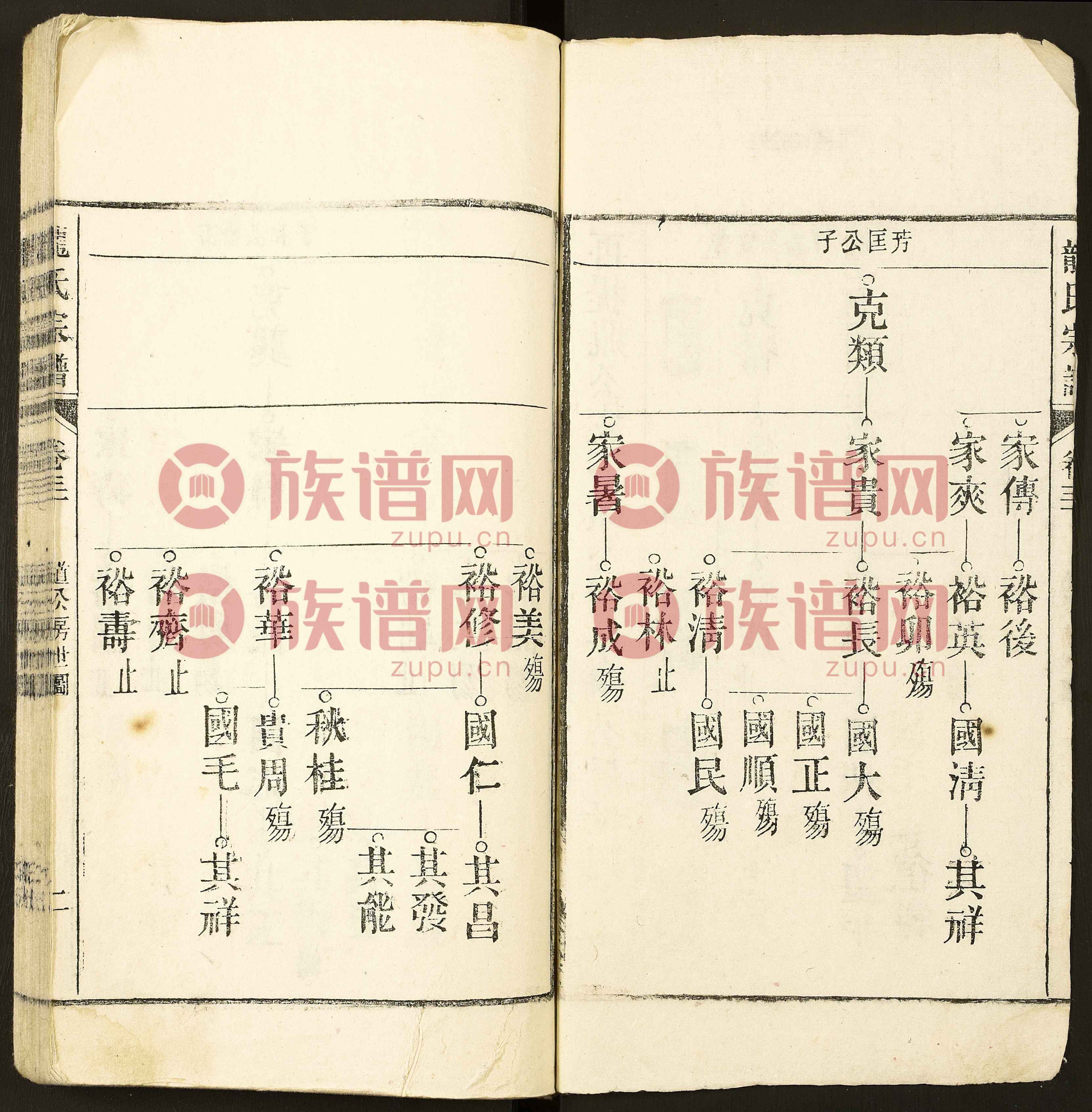 公众号族谱大全(公众号族谱大全免费下载)
