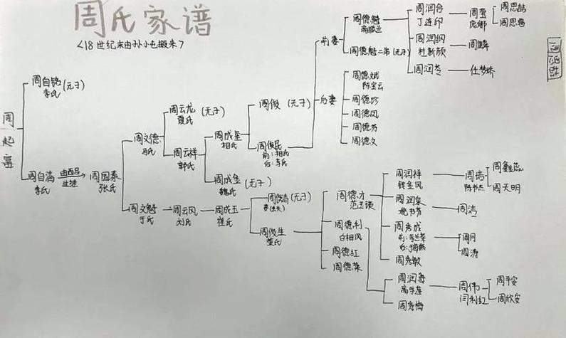 小程序族谱(族谱小程序开源) 小程序族谱(族谱小程序开源)