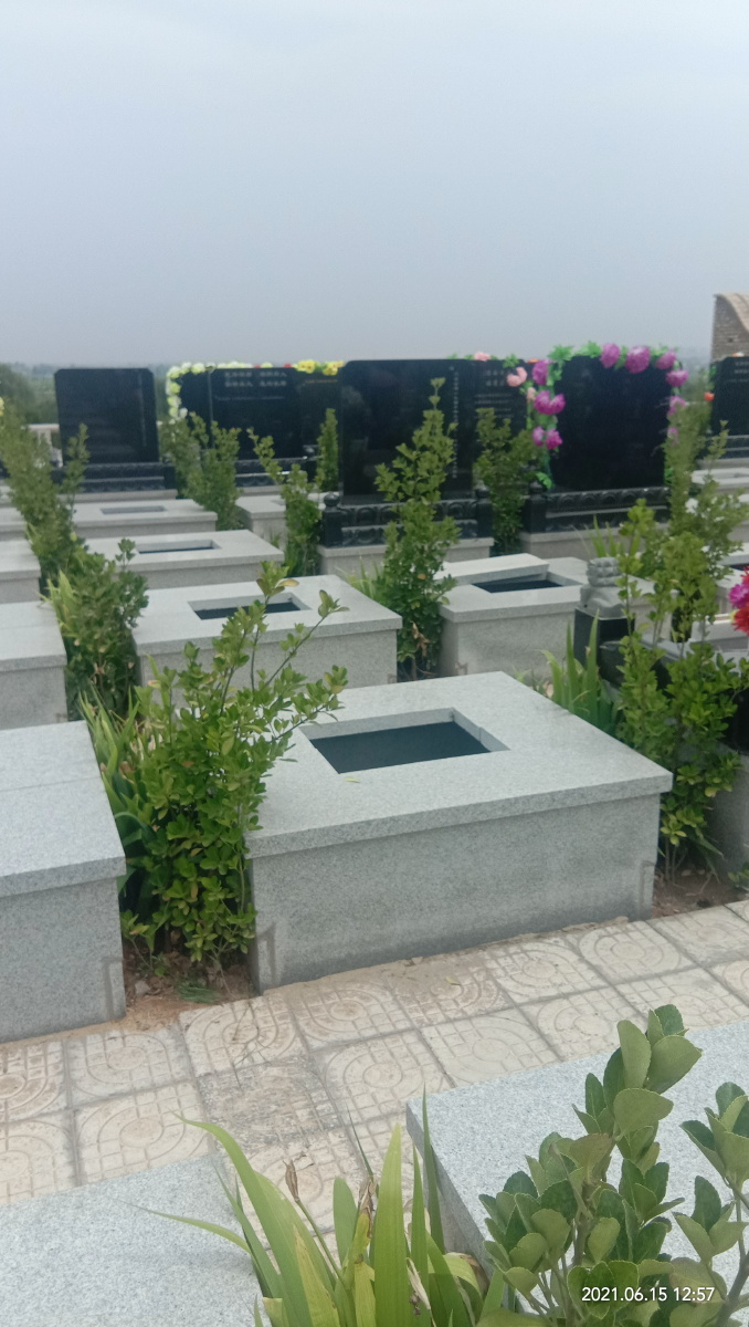 相宅青龙(青龙宅房子有什么好)