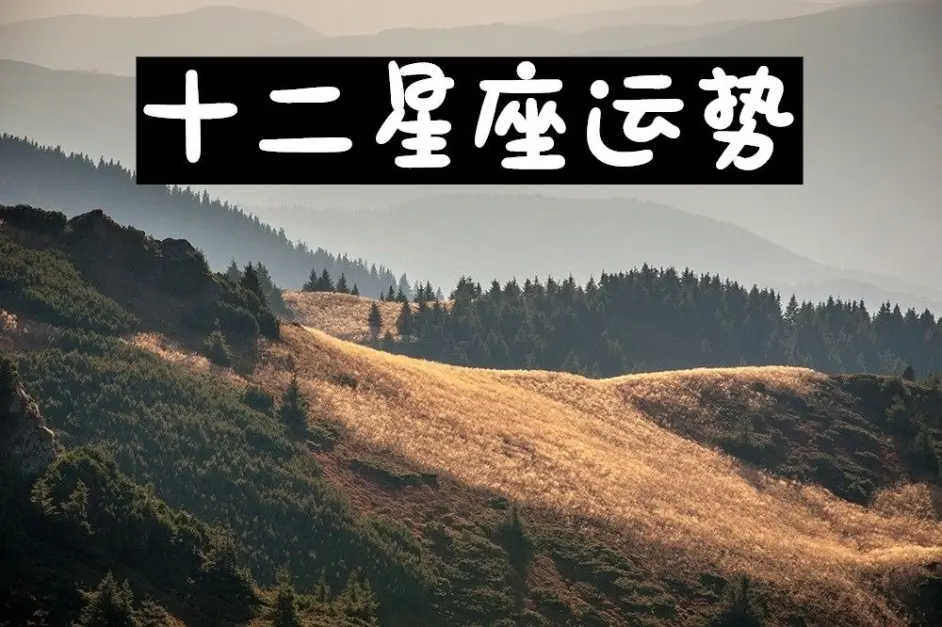 精准星座运势怎么样(一亩桃树能产多少桃胶)