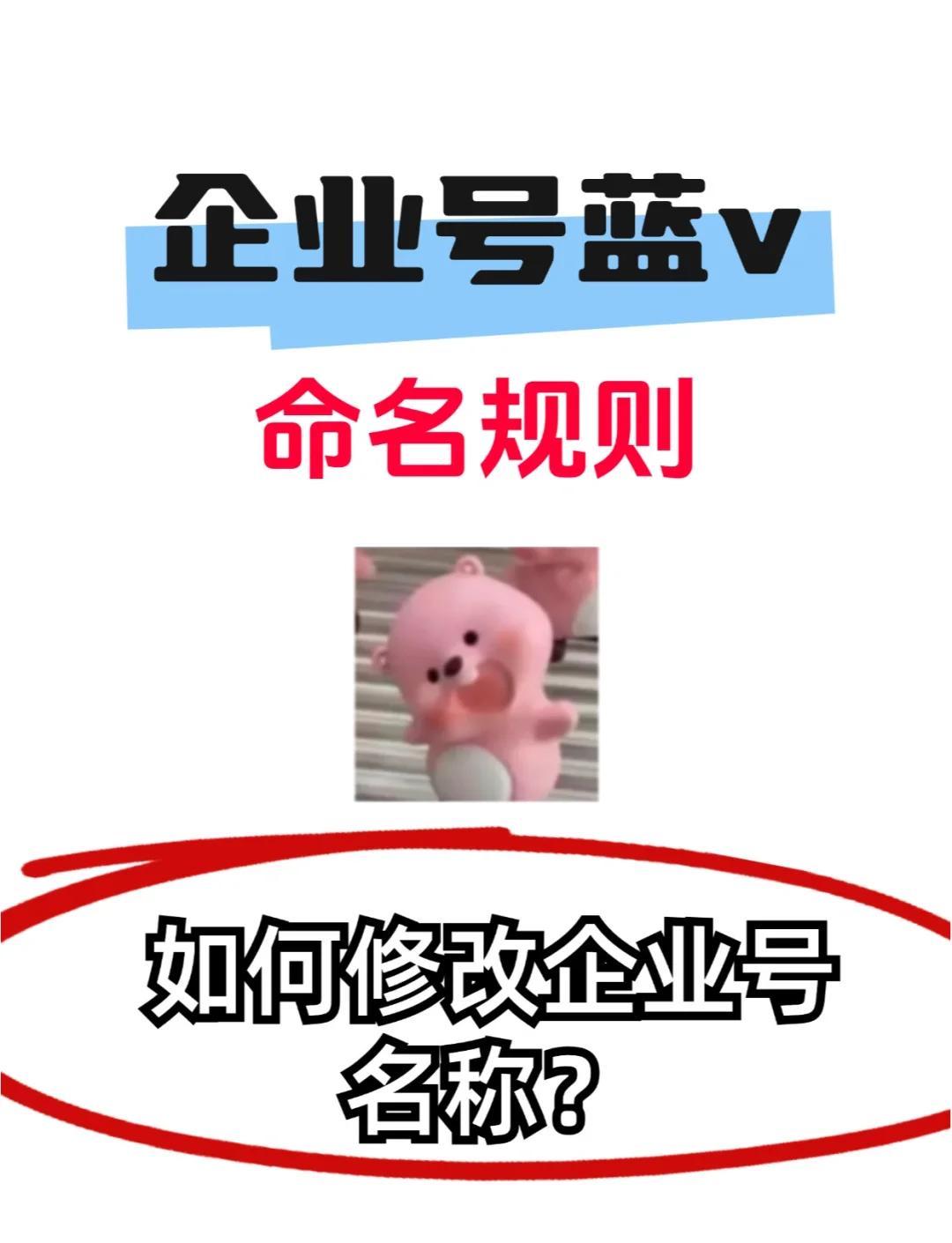 换名规则(换名字流程及手续)