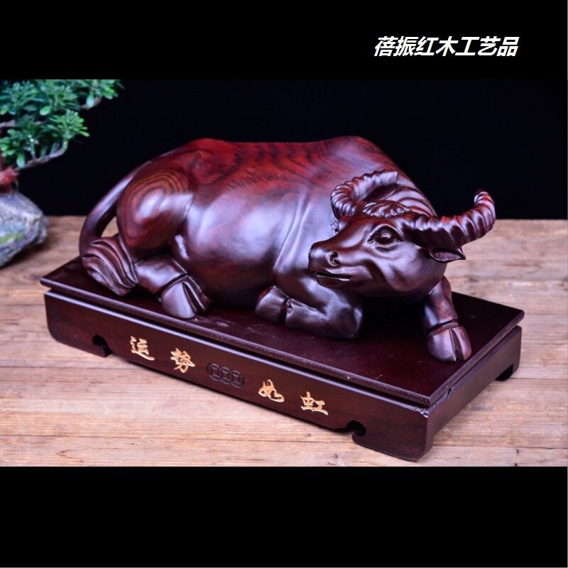 十二生肖学业运(十二生肖运势怎么影响一生)