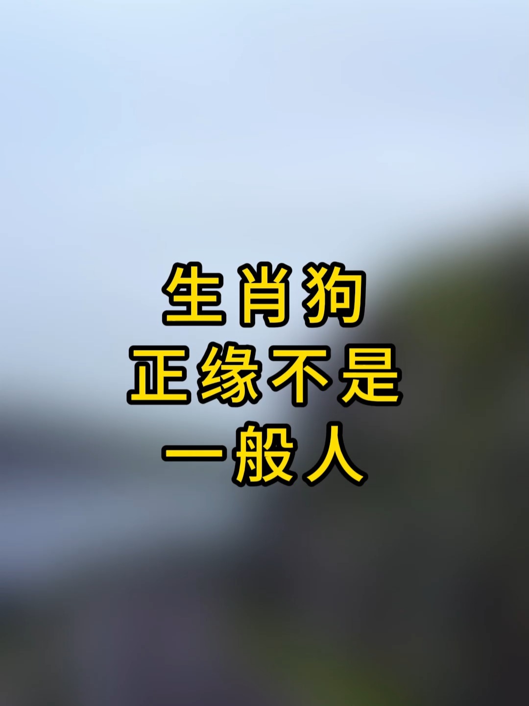 生肖正缘(生肖正缘大全)