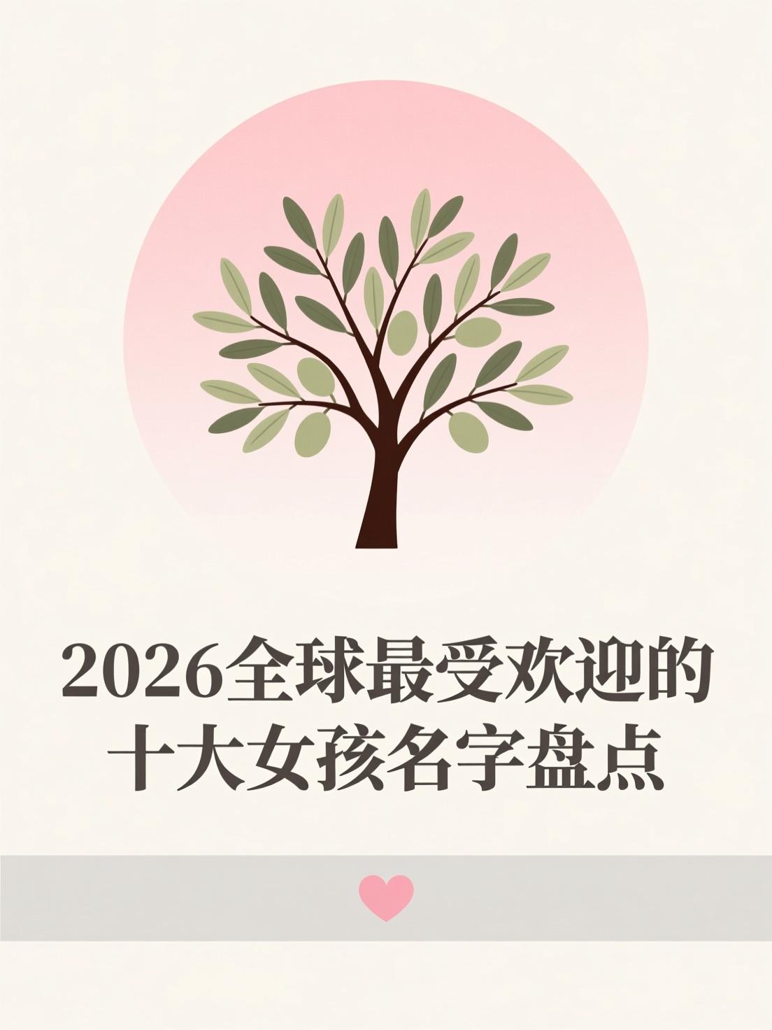 2026姓名流程(2026姓名测试结果模板)