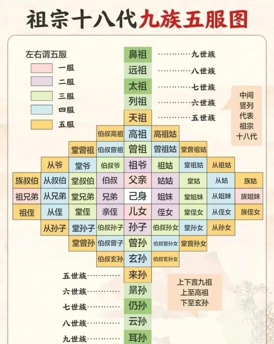 精准族谱教程(族谱软件哪个最实用)