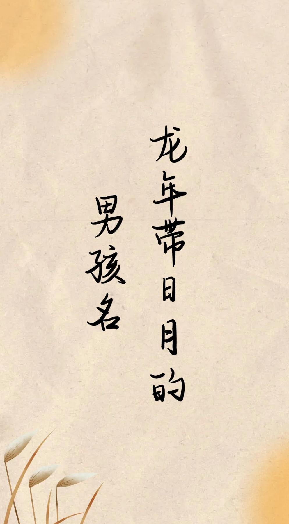 命名男孩(男孩命名寓意)