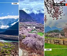相地桃花位(南京小学教师)