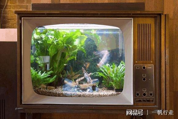 平台风水(风水网站哪个好)