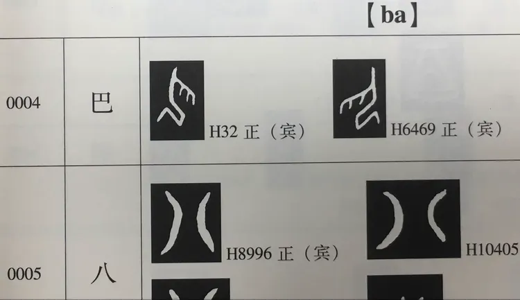 俞任袁柳家谱(百家姓俞任袁柳下一句怎么读)