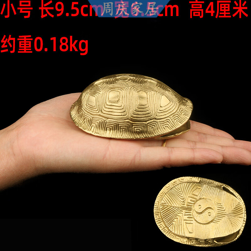 六爻占卜龟壳卦(六爻占卜龟壳用法)