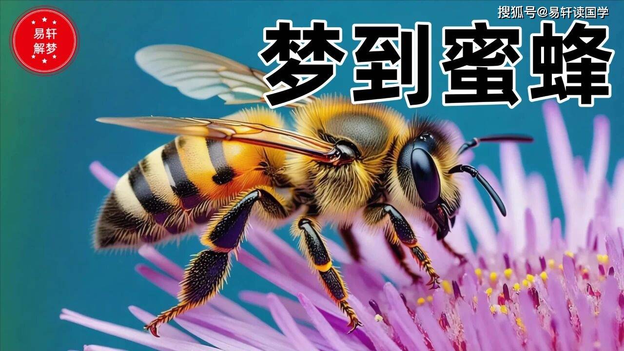 在线解梦(在线解梦周公解梦) 在线解梦(在线解梦周公解梦)