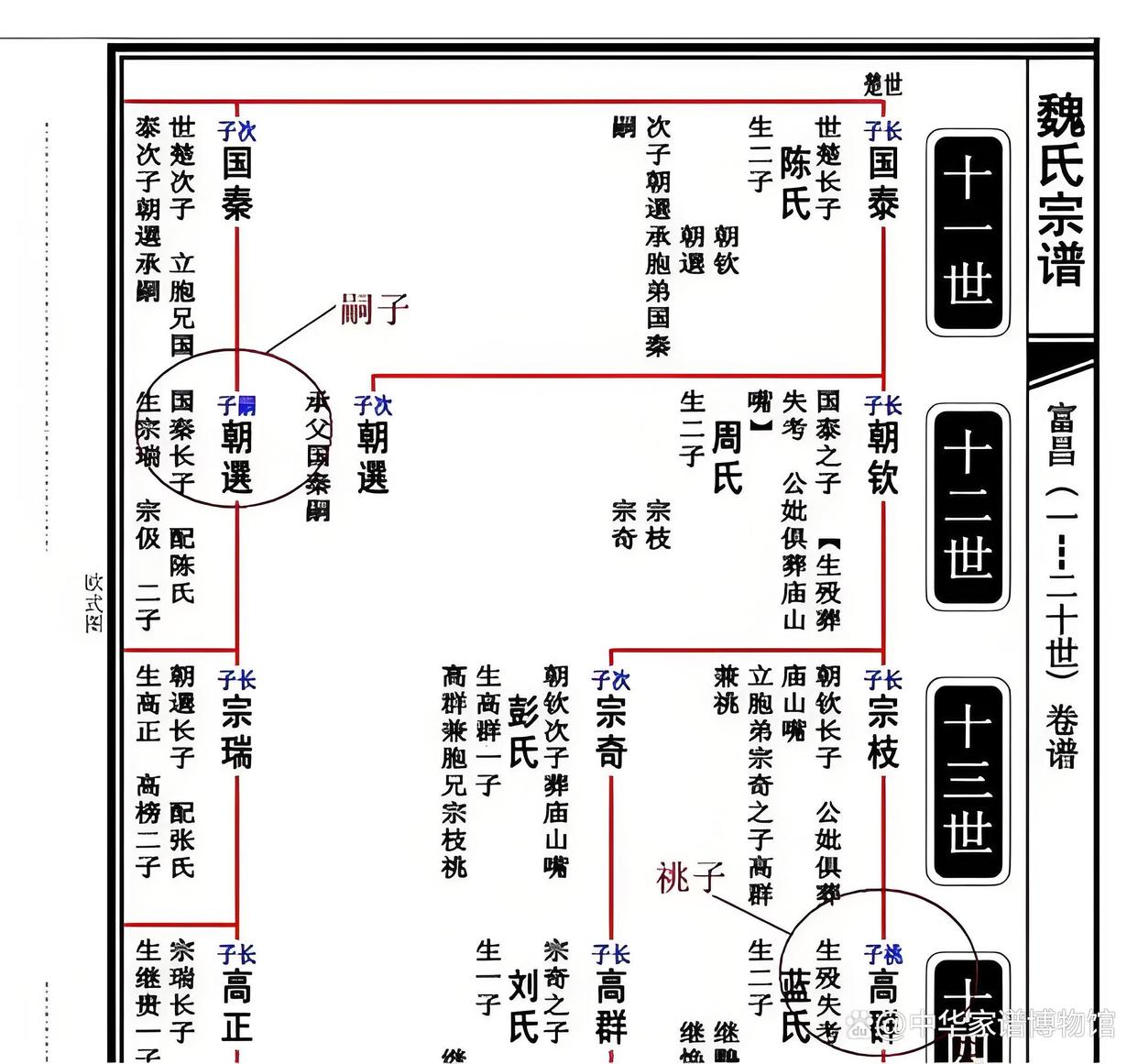 专业家谱(专业家谱开光) 专业家谱(专业家谱开光)