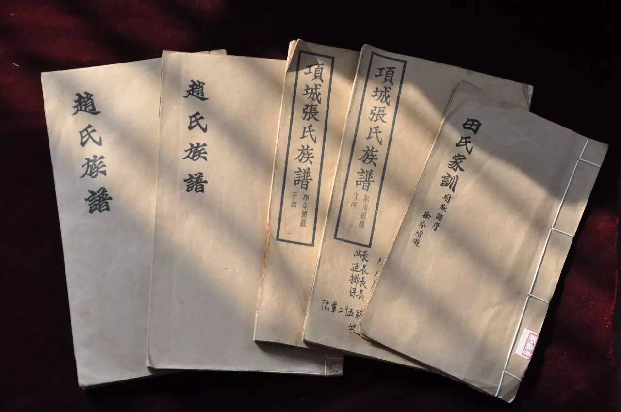 为什么家谱(为什么家谱上不写女人的名字) 为什么家谱(为什么家谱上不写女人的名字)