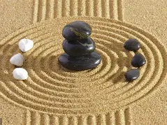专业青囊要素(高校专业建设五大要素)
