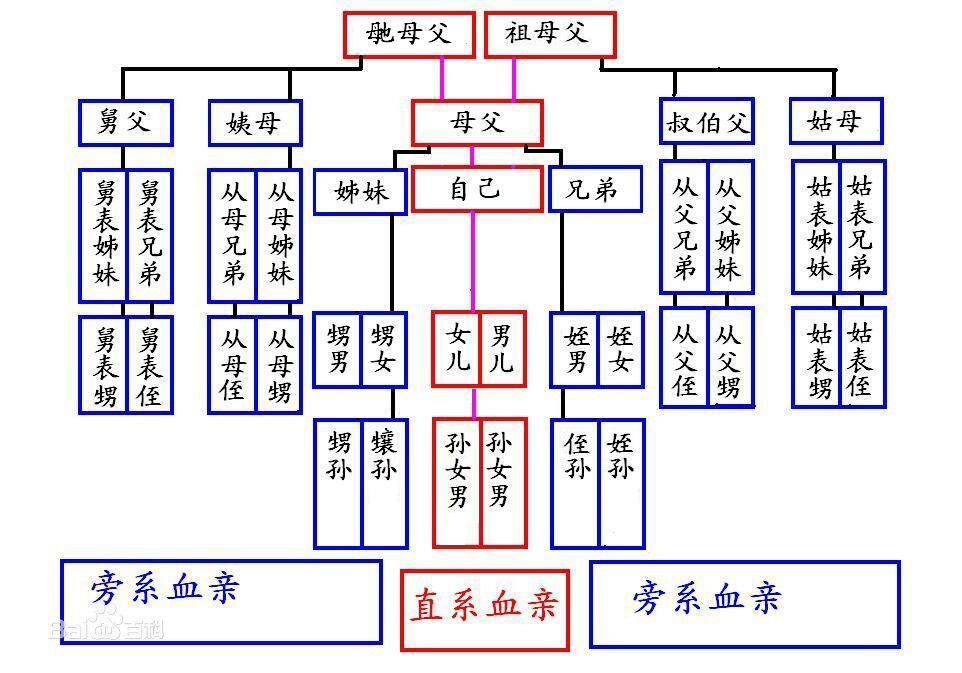 小孩家谱(小家家谱激励孩子)