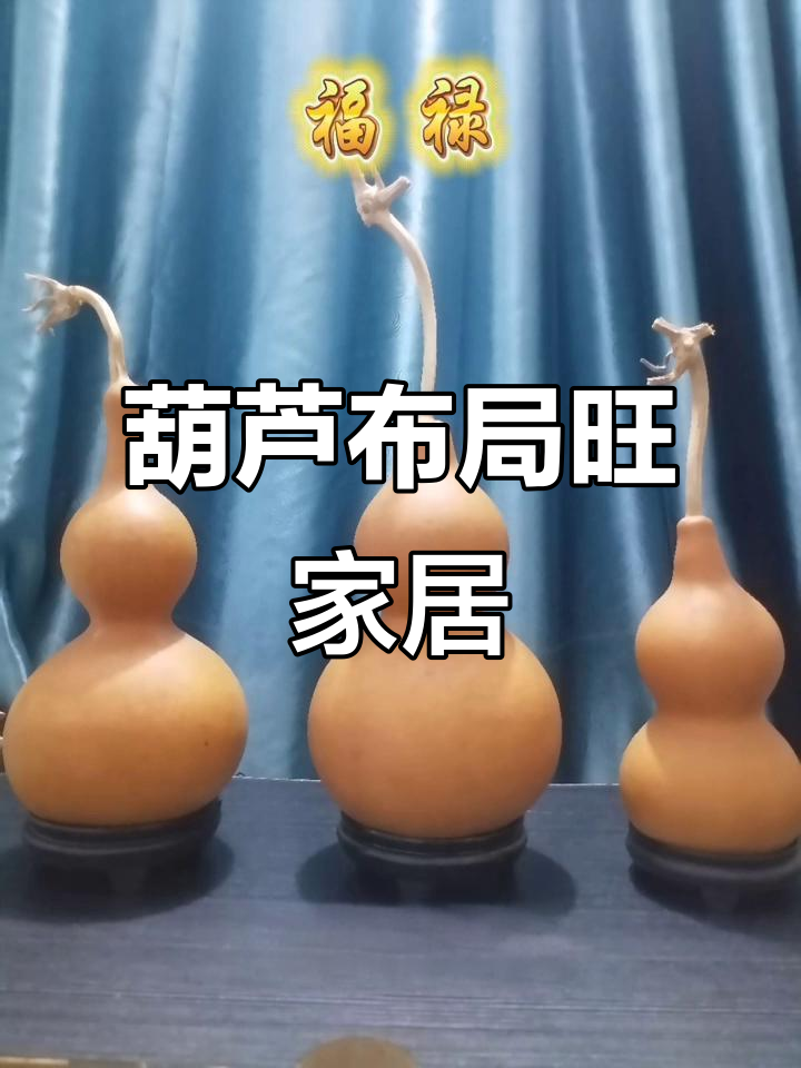 葫芦相宅(葫芦镇宅的葫芦口朝右吗)