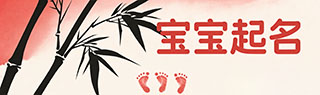 宝宝取名打分测试免费(宝宝取名打分免费测试最准确)