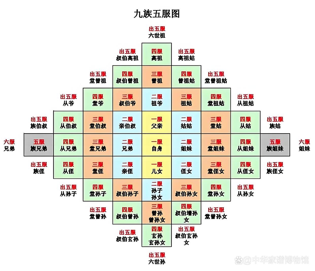 家谱怎么样(家谱怎么填写才正确)
